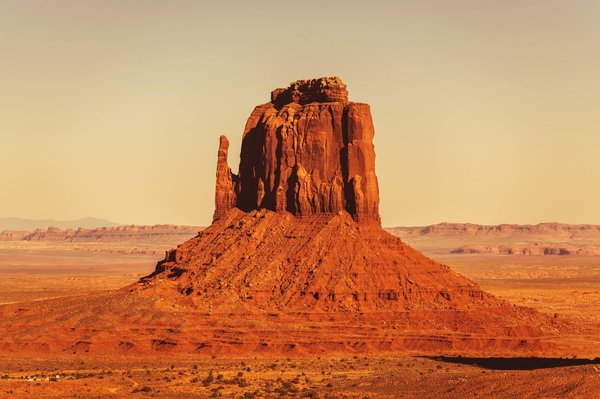 Les compétences entrepreneuriales à développer lors d'une formation dédiée